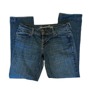 American Eagle 77 Straight Leg Cotton Jeans Low Rise Size 12 SHORT